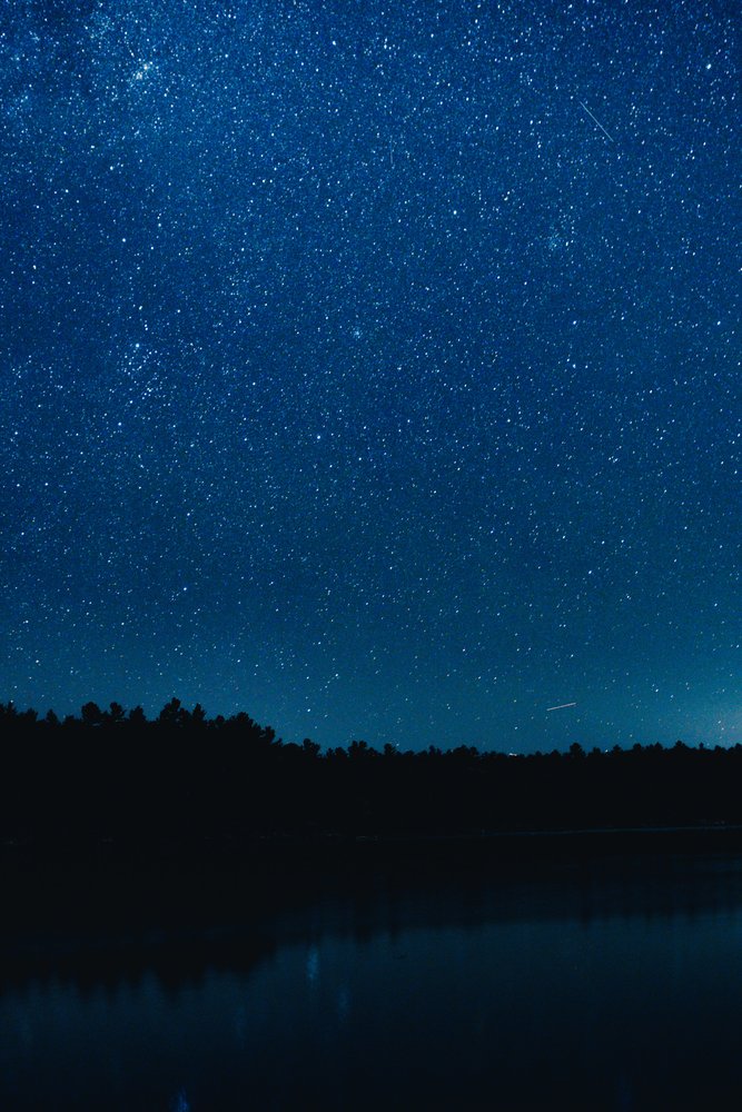 Night sky filled with stars above tree-lined silhouette near a body of water, reflecting the starry sky.